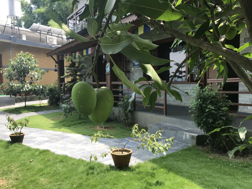 Hotel Tourist Residency Pokhara Esterno foto